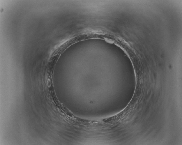 X0000064741303200602171657