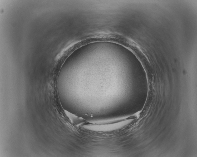 X0000064741304200602171657