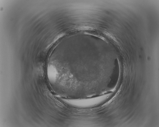 X0000064741305200602171657