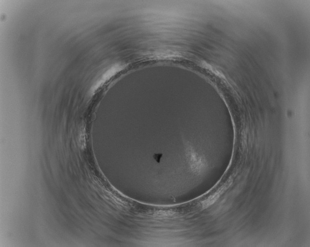 X0000064741306200602171657