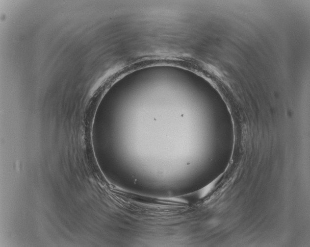 X0000064741307200602171657