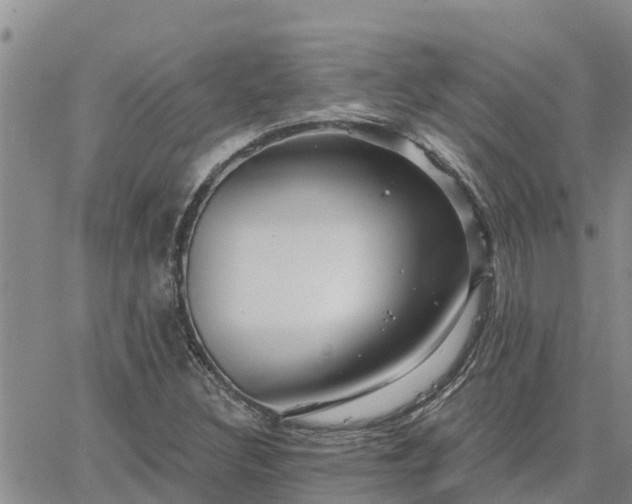 X0000064741308200602171657