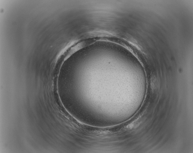 X0000064741309200602171657