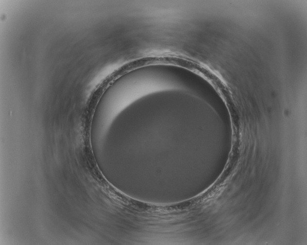 X0000064741311200602171657