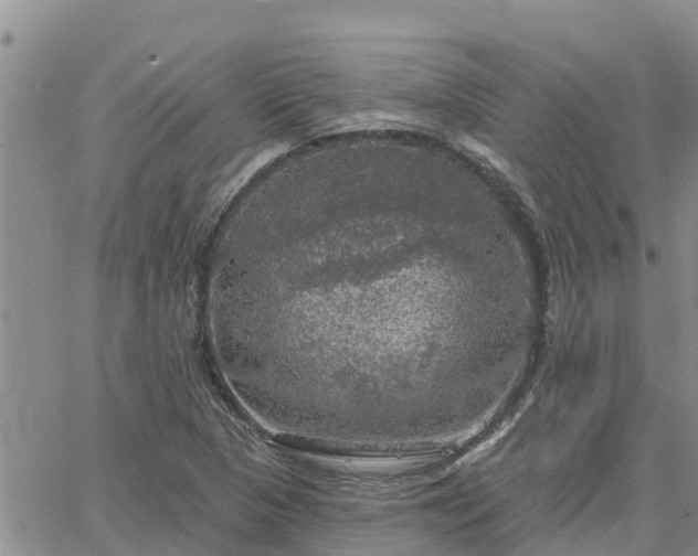 X0000064741313200602171657