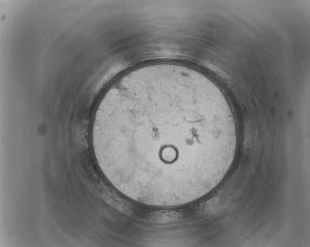 X0000064741314200602171657