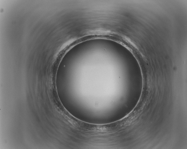 X0000064741315200602171657