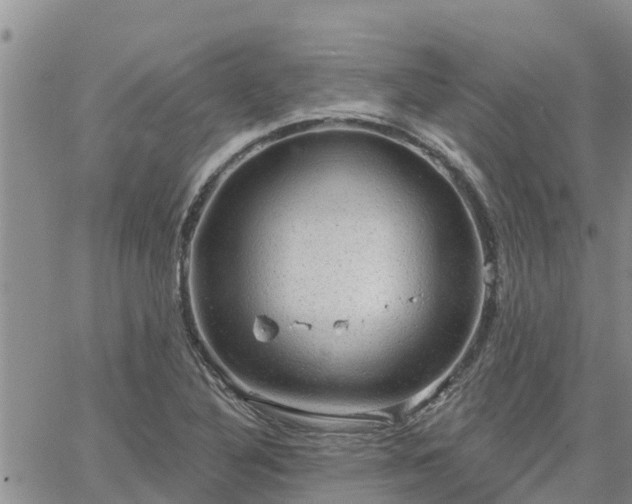 X0000064741316200602171657