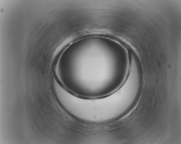 X0000064741317200602171657