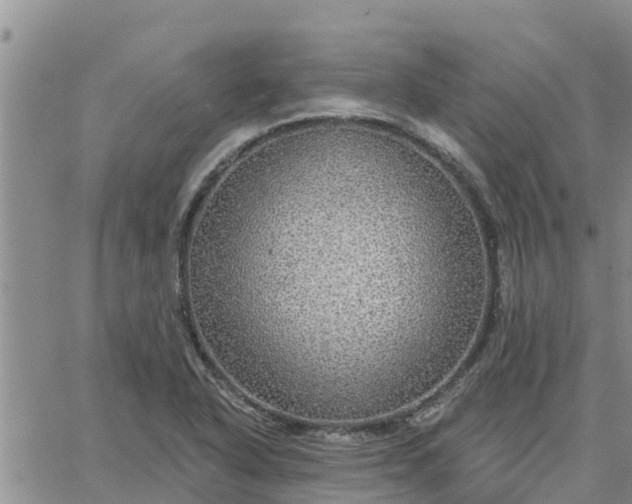 X0000064741318200602171657