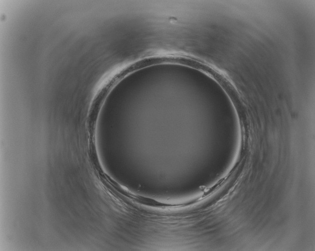 X0000064741319200602171657