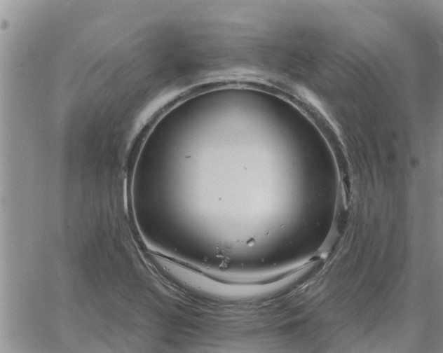 X0000064741320200602171657