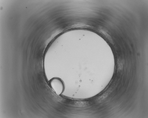 X0000064741322200602171657