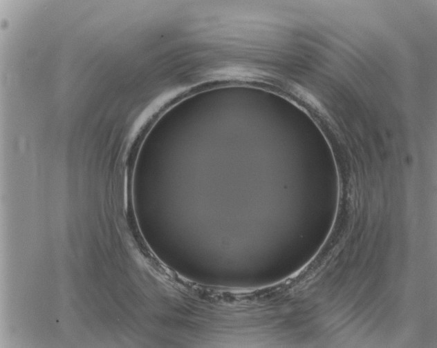 X0000064741323200602171657