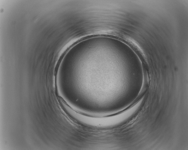 X0000064741324200602171657