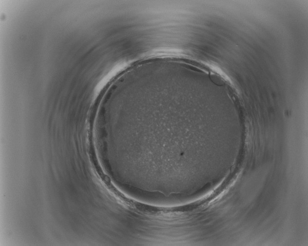 X0000064741325200602171657