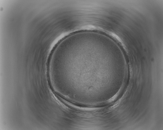 X0000064741326200602171657