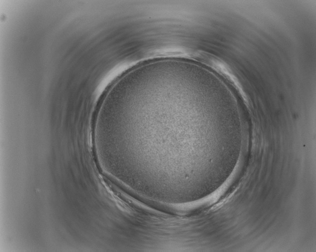 X0000064741328200602171657