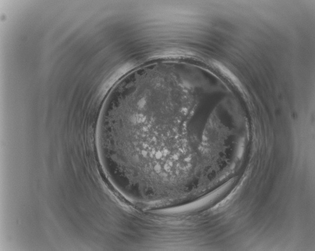 X0000064741329200602171657