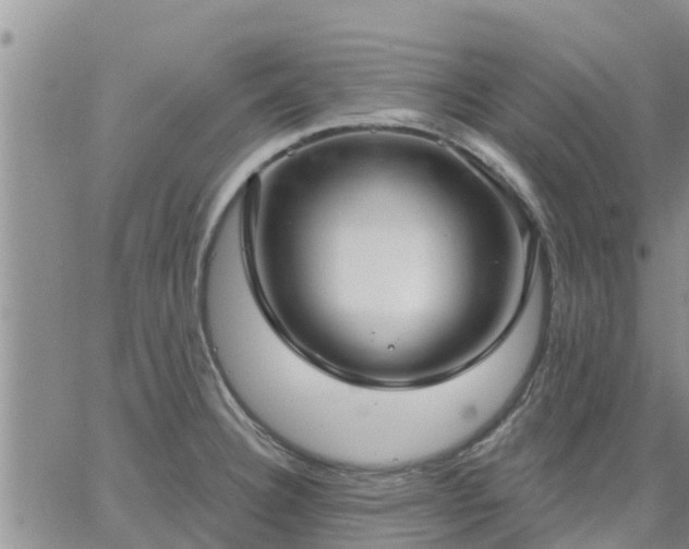 X0000064741332200602171657