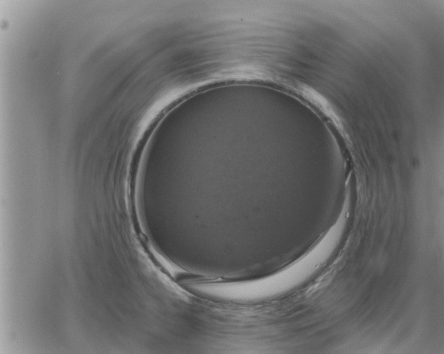 X0000064741334200602171657