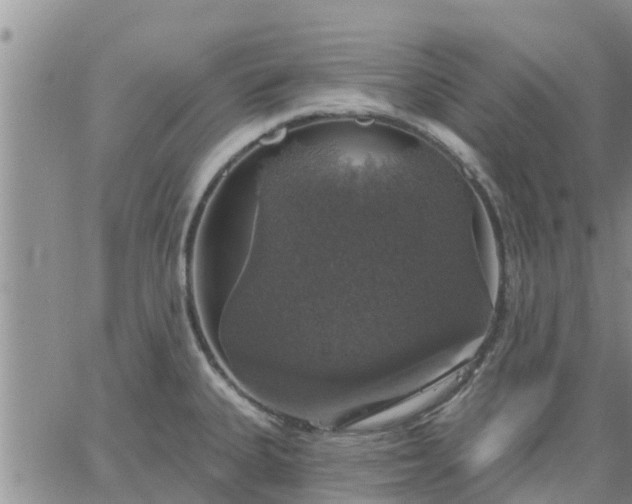 X0000064741335200602171657