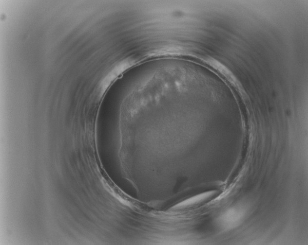 X0000064741337200602171657