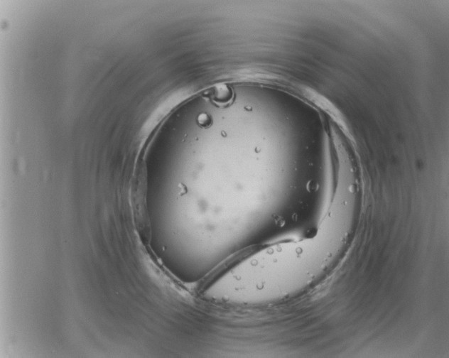 X0000064741338200602171657