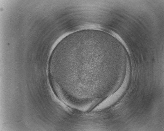 X0000064741339200602171657