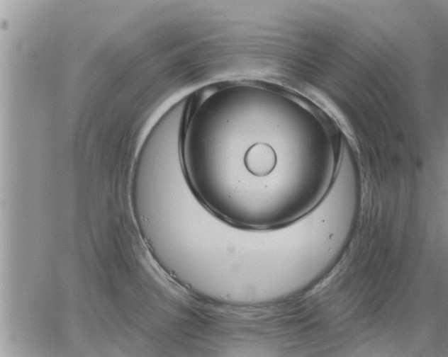 X0000064741340200602171657