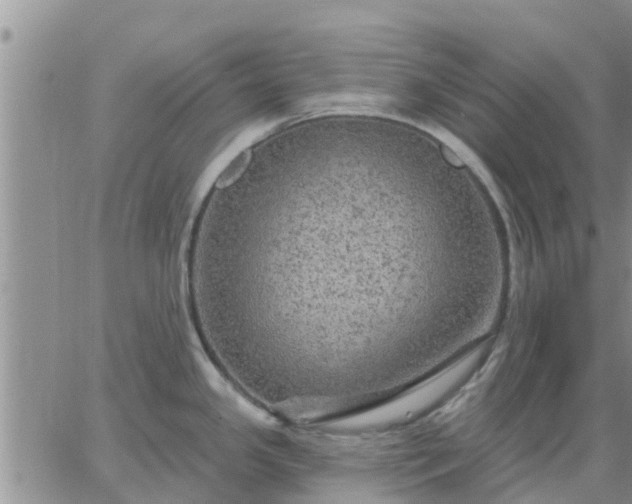 X0000064741341200602171657