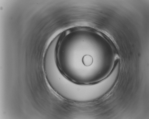 X0000064741342200602171657