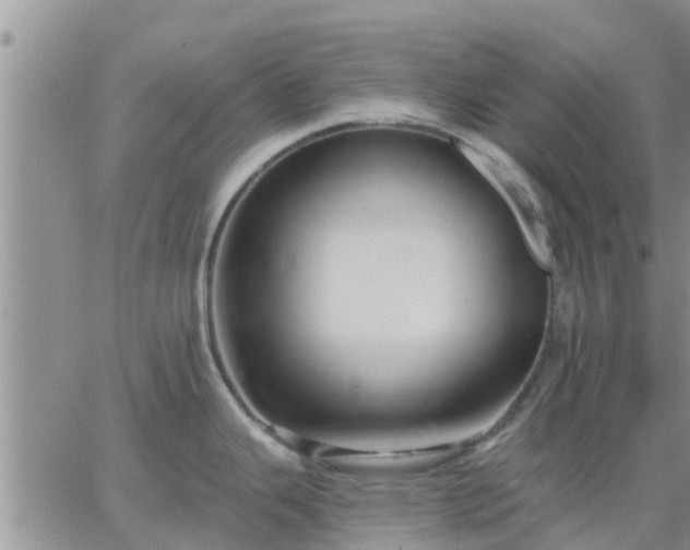 X0000064741343200602171657