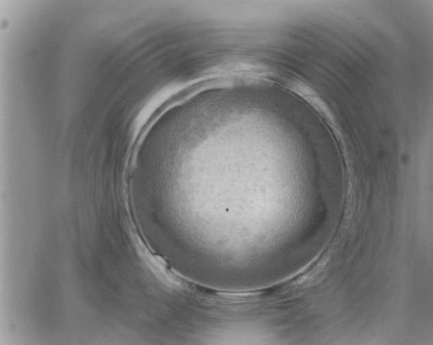 X0000064741344200602171657