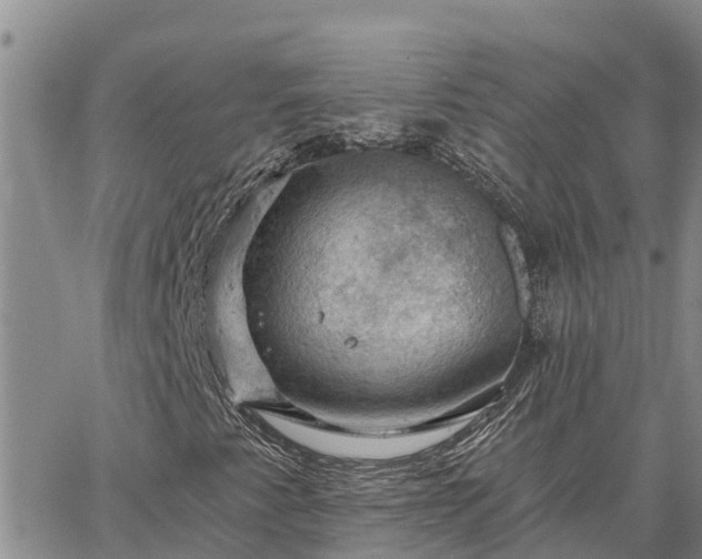 X0000064741345200602171657