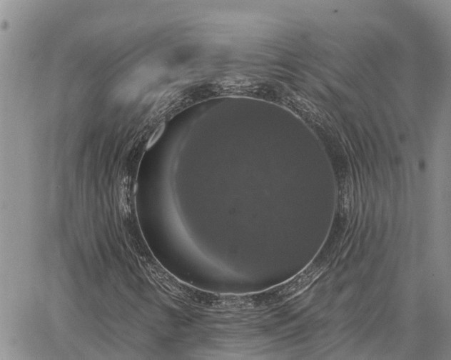 X0000064741346200602171657