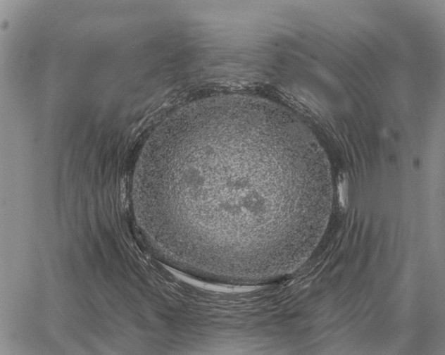 X0000064741347200602171657