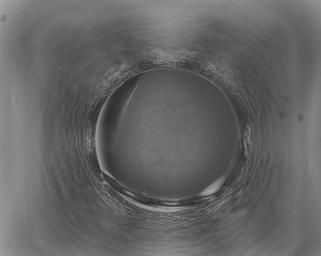 X0000064741348200602171657