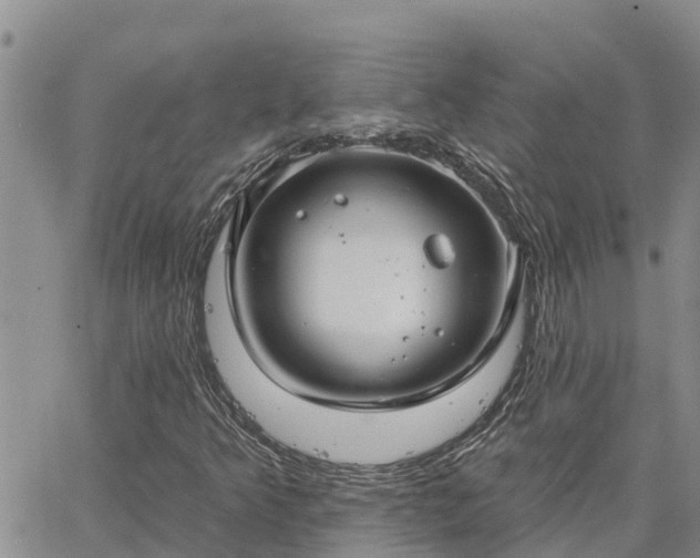 X0000064741349200602171657