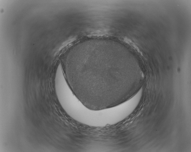 X0000064741350200602171657