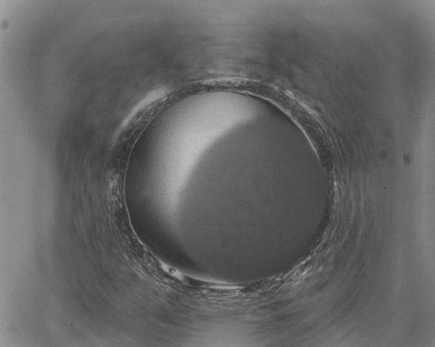 X0000064741351200602171656