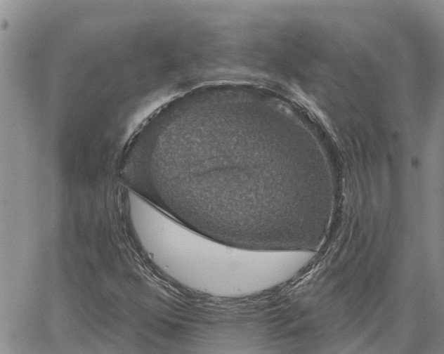 X0000064741352200602171656