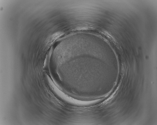 X0000064741353200602171656