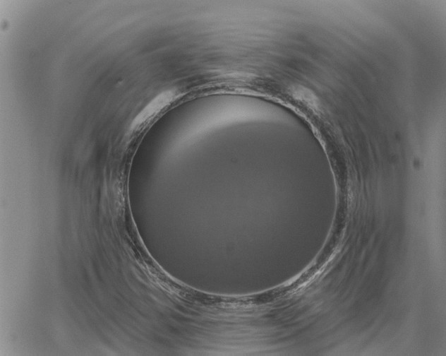 X0000064741354200602171656