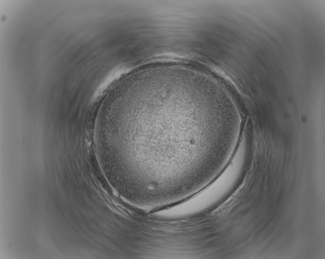 X0000064741355200602171656