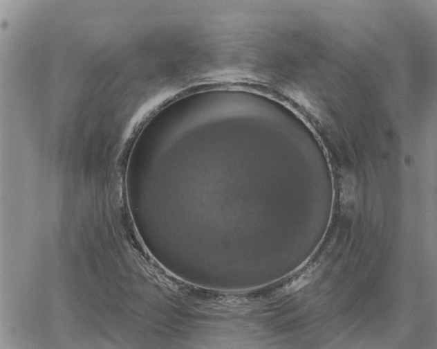 X0000064741358200602171656