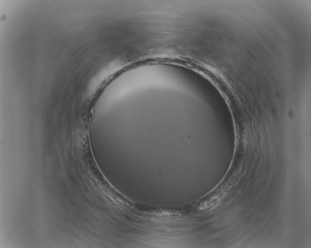 X0000064741359200602171656