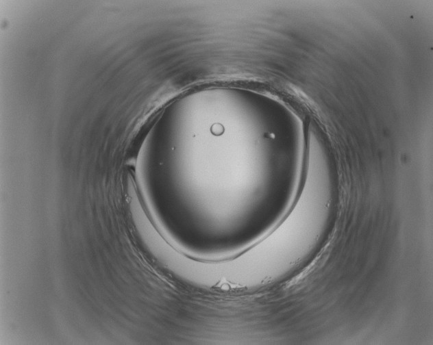 X0000064741361200602171656