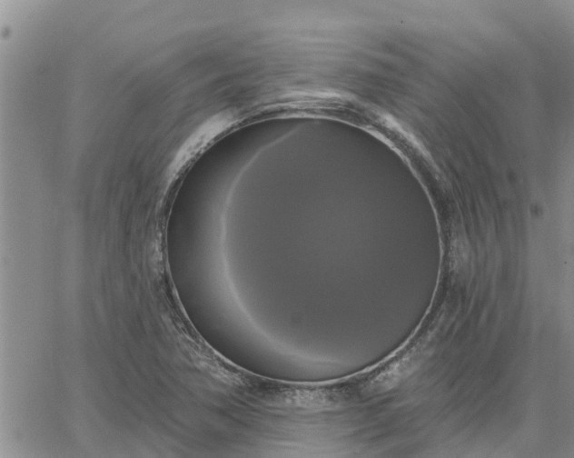 X0000064741362200602171656