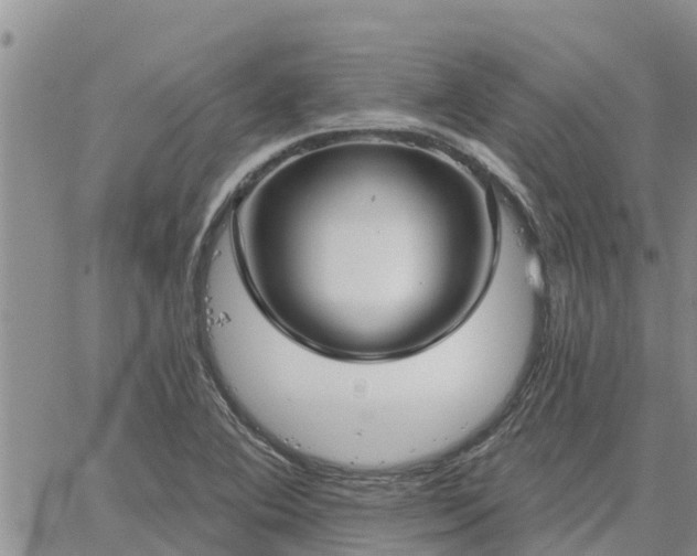 X0000064741364200602171656